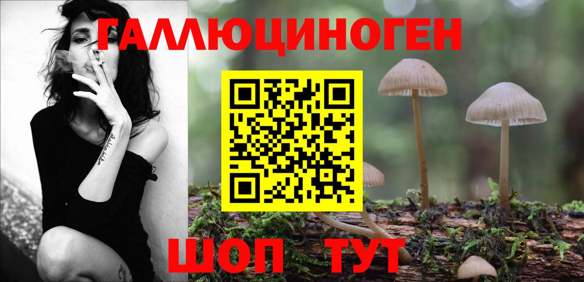 Псилоцибиновые грибы Magic Shrooms  Галлюциногенные грибы мицелий  Беслан  Вход с VPN 